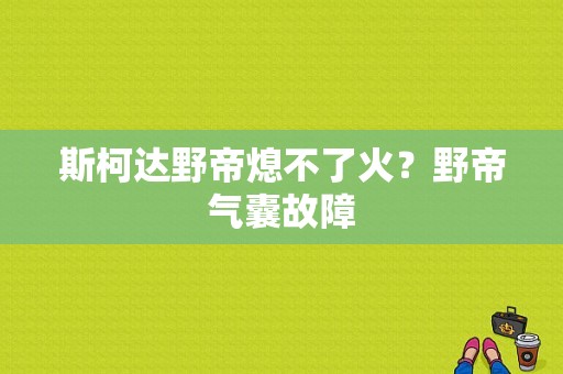 斯柯达野帝熄不了火？野帝气囊故障-图1