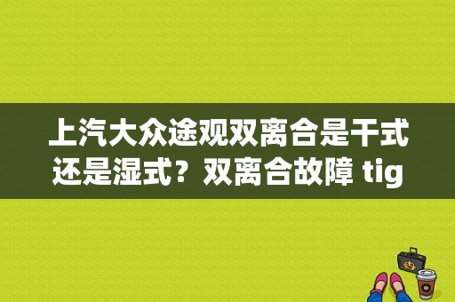 上汽大众途观双离合是干式还是湿式？双离合故障 tiguan-图1