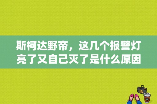 斯柯达野帝，这几个报警灯亮了又自己灭了是什么原因？yeti胎压监测故障灯-图1