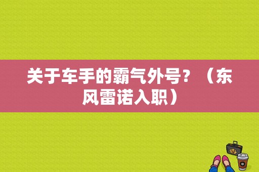 关于车手的霸气外号？（东风雷诺入职）-图1