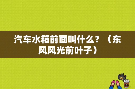 汽车水箱前面叫什么？（东风风光前叶子）-图1