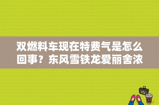 双燃料车现在特费气是怎么回事？东风雪铁龙爱丽舍浓度调节故障-图1