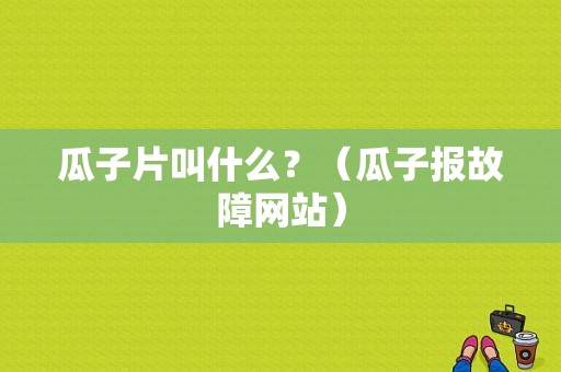 瓜子片叫什么？（瓜子报故障网站）-图1