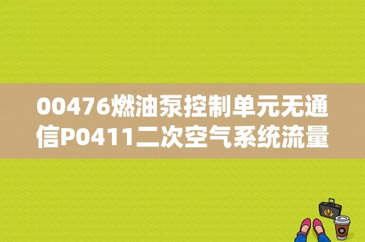 00476燃油泵控制单元无通信P0411二次空气系统流量不正确一清除就没了，开开故障又出来了？（二次空气流量不正确的故障）-图1