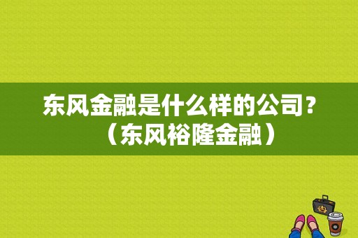 东风金融是什么样的公司？（东风裕隆金融）-图1