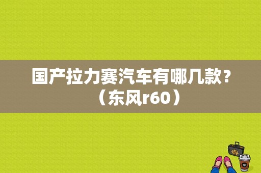 国产拉力赛汽车有哪几款？（东风r60）-图1
