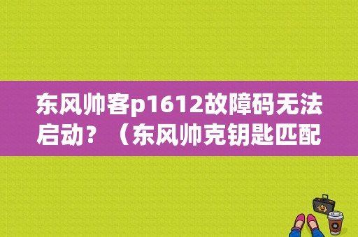 东风帅客p1612故障码无法启动？（东风帅克钥匙匹配）-图1