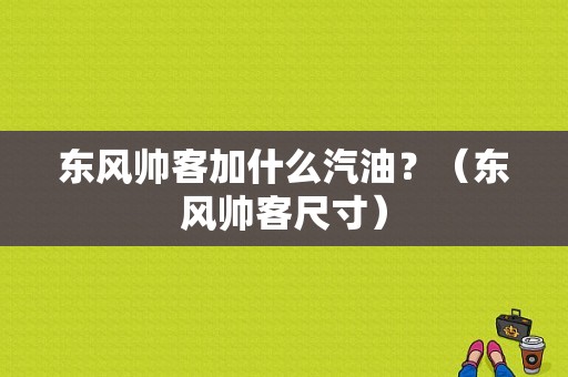 东风帅客加什么汽油？（东风帅客尺寸）-图1