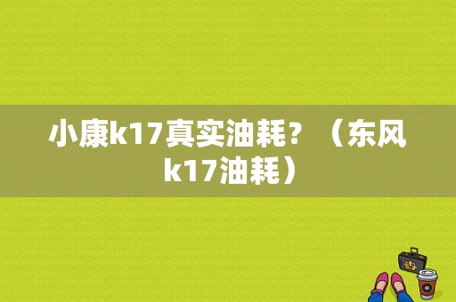 小康k17真实油耗？（东风k17油耗）-图1
