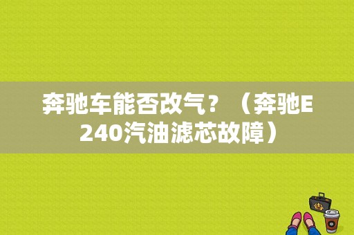 奔驰车能否改气？（奔驰E240汽油滤芯故障）-图1