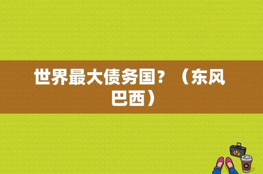 世界最大债务国？（东风 巴西）-图1