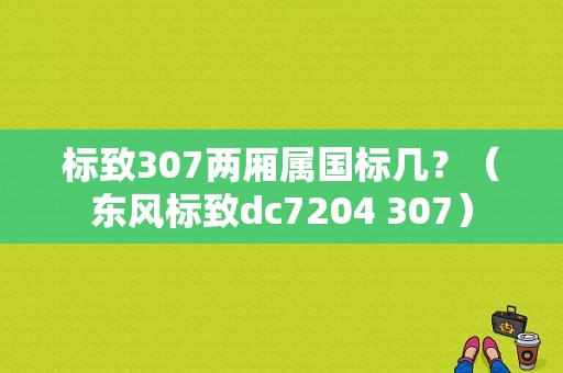 标致307两厢属国标几？（东风标致dc7204 307）-图1