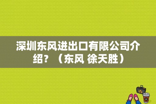 深圳东风进出口有限公司介绍？（东风 徐天胜）