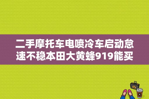 二手摩托车电喷冷车启动怠速不稳本田大黄蜂919能买吗？2万3？（本田黄蜂919故障码）-图1