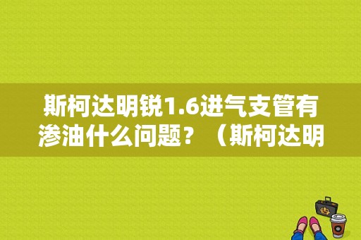 斯柯达明锐1.6进气支管有渗油什么问题？（斯柯达明锐1 4t进气少故障）-图1