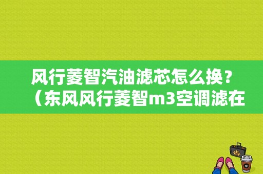 风行菱智汽油滤芯怎么换？（东风风行菱智m3空调滤在哪）-图1