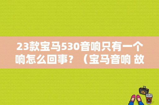 23款宝马530音响只有一个响怎么回事？（宝马音响 故障 卡）-图1