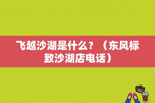 飞越沙湖是什么？（东风标致沙湖店电话）-图1