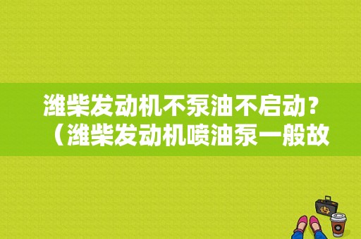 潍柴发动机不泵油不启动？（潍柴发动机喷油泵一般故障）-图1