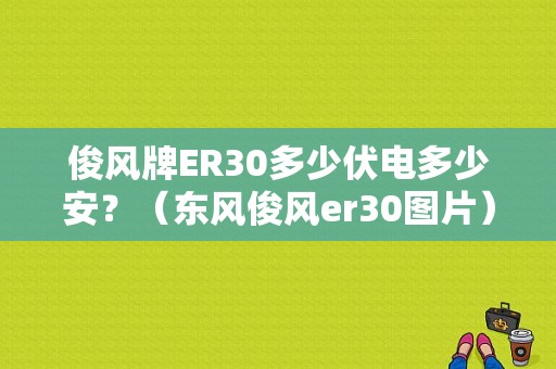 俊风牌ER30多少伏电多少安？（东风俊风er30图片）-图1