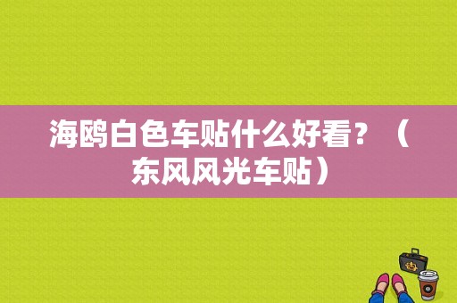 海鸥白色车贴什么好看？（东风风光车贴）-图1