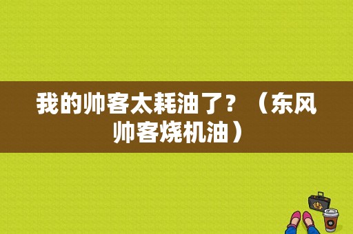 我的帅客太耗油了？（东风帅客烧机油）-图1
