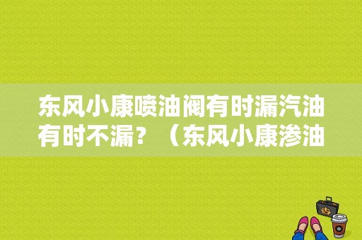 东风小康喷油阀有时漏汽油有时不漏？（东风小康渗油）-图1