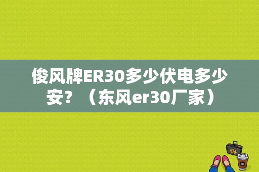 俊风牌ER30多少伏电多少安？（东风er30厂家）-图1