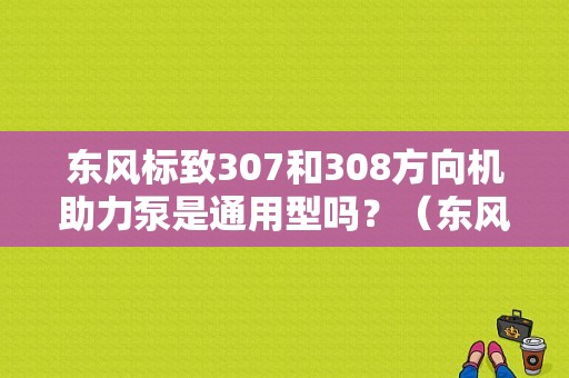 东风标致307和308方向机助力泵是通用型吗？（东风标致307方向机）-图1