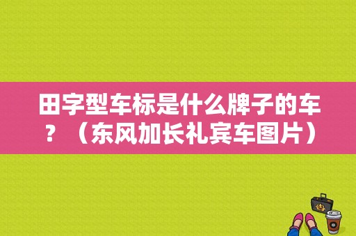 田字型车标是什么牌子的车？（东风加长礼宾车图片）-图1
