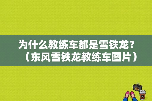 为什么教练车都是雪铁龙？（东风雪铁龙教练车图片）-图1