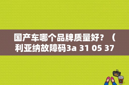 国产车哪个品牌质量好？（利亚纳故障码3a 31 05 37）-图1