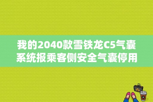 我的2040款雪铁龙C5气囊系统报乘客侧安全气囊停用警告灯电阻过低，是什么意思啊？（气囊停用故障灯）-图1