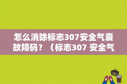 怎么消除标志307安全气囊故障码？（标志307 安全气囊故障）-图1