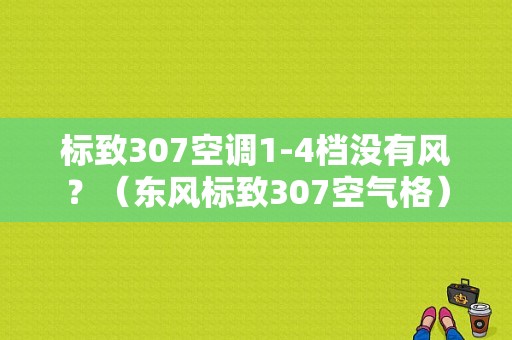 标致307空调1-4档没有风？（东风标致307空气格）-图1