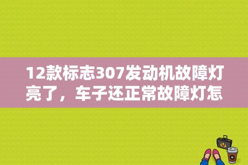 12款标志307发动机故障灯亮了，车子还正常故障灯怎么清除不了？（标志307故障码can上ecu无响应）-图2
