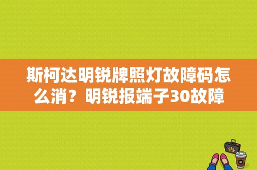 斯柯达明锐牌照灯故障码怎么消？明锐报端子30故障-图1
