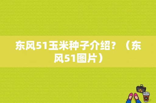 东风51玉米种子介绍？（东风51图片）-图1