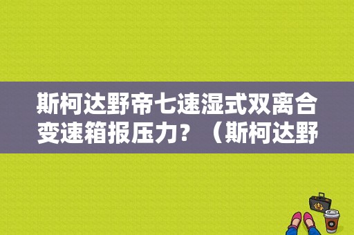 斯柯达野帝七速湿式双离合变速箱报压力？（斯柯达野帝双离合故障）-图1