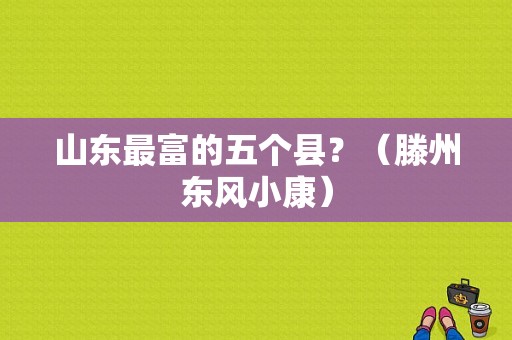 山东最富的五个县？（滕州东风小康）