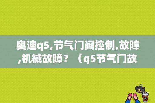 奥迪q5,节气门阀控制,故障,机械故障？（q5节气门故障）-图1
