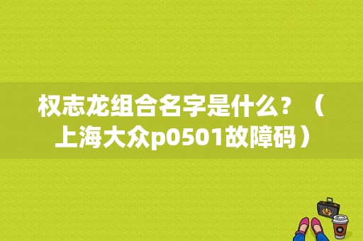 权志龙组合名字是什么？（上海大众p0501故障码）-图1