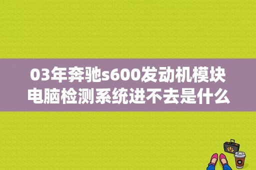 03年奔驰s600发动机模块电脑检测系统进不去是什么问题？（奔驰s600不会故障）-图1