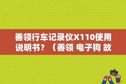 善领行车记录仪X110使用说明书？（善领 电子狗 故障）