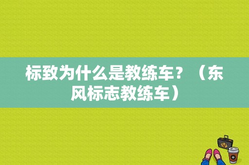 标致为什么是教练车？（东风标志教练车）-图1