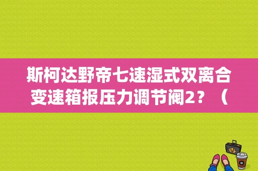 斯柯达野帝七速湿式双离合变速箱报压力调节阀2？（野帝 dsg故障）-图1