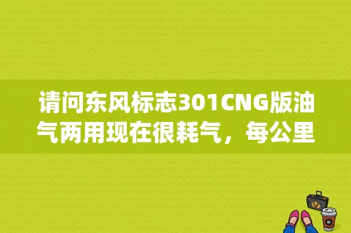 请问东风标志301CNG版油气两用现在很耗气，每公里0.35元，比原来的高了很多，怎么办？（东风标致301cng价格）-图1