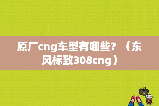 原厂cng车型有哪些？（东风标致308cng）-图1
