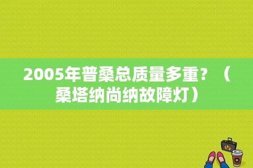 2005年普桑总质量多重？（桑塔纳尚纳故障灯）-图1
