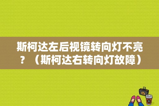 斯柯达左后视镜转向灯不亮？（斯柯达右转向灯故障）-图1
